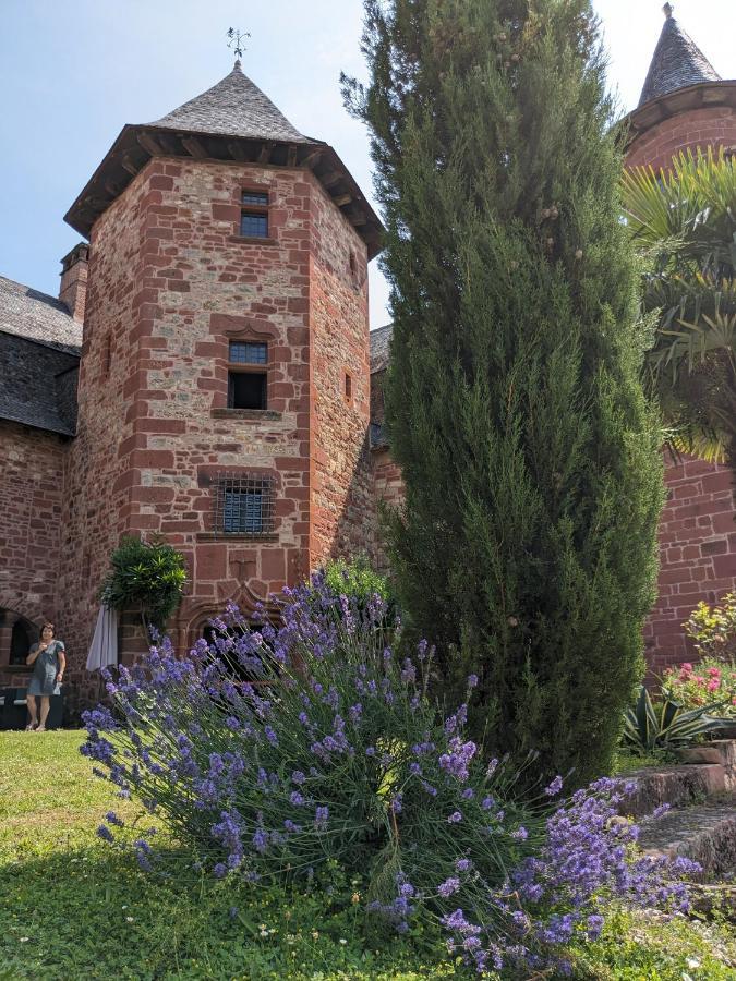 Chateau De Vassinhac Chambres D'Hotes Collonges La Rouge Exterior foto